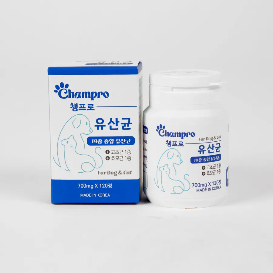 챔프로 유산균 제품