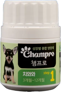 Champro チワワ step 1