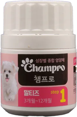 Champro 말티즈 step 1