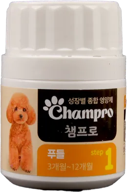 Champro 푸들 step 1