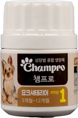 Champro 요크셔테리어 step 1