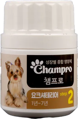 Champro 요크셔테리어 step 2